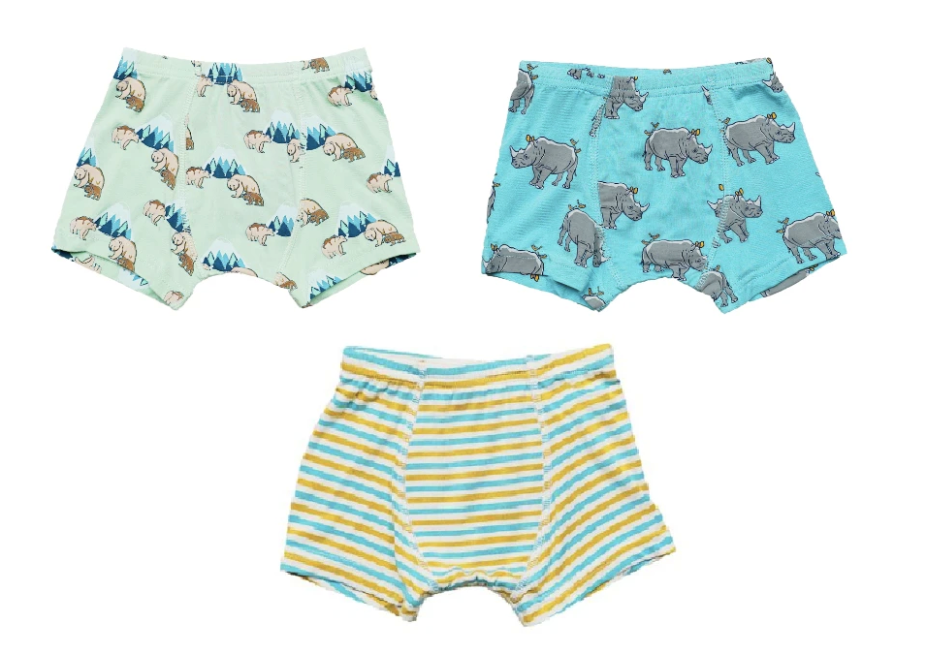 Kids Children Boys Underwear Set Cute Print Briefs Shorts Cotton