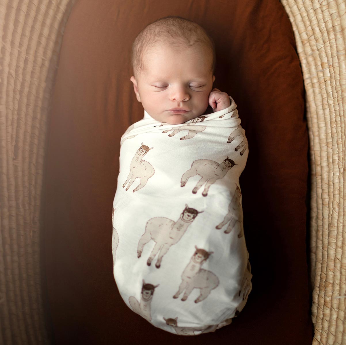 How to Protect Newborns in Cold Weather with Warm Clothes Free Birdees