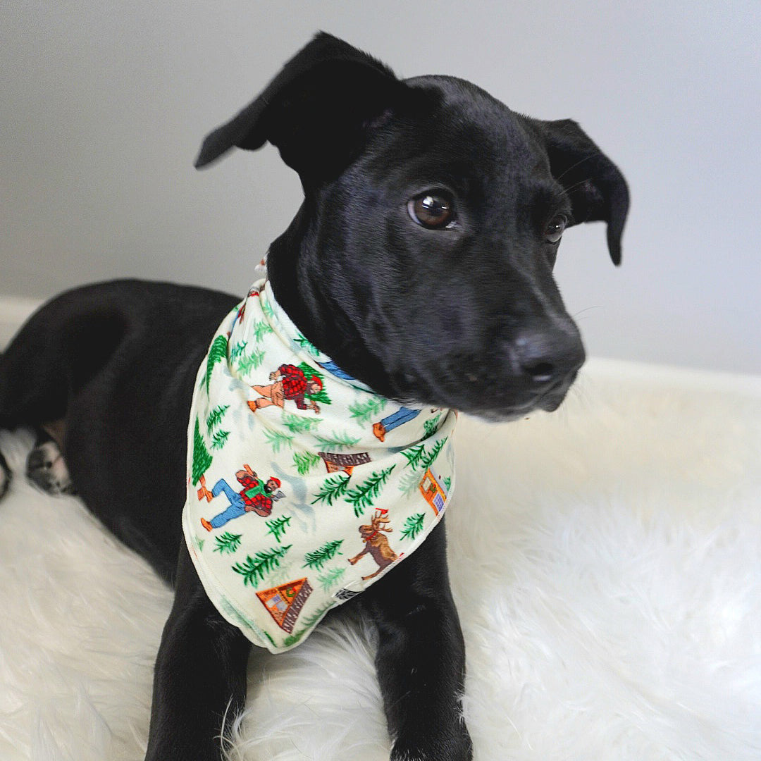 Forest Wonderland Lumberjacks Pet Bandana
