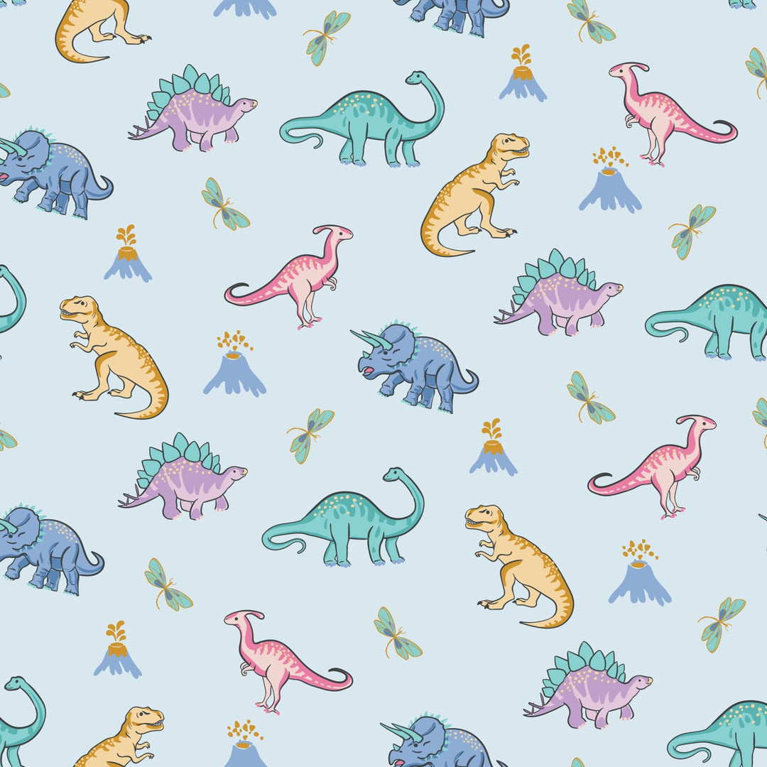 Rawr Your World Dinos & Dragonflies Coverall (0 - 3T) - Free Birdees