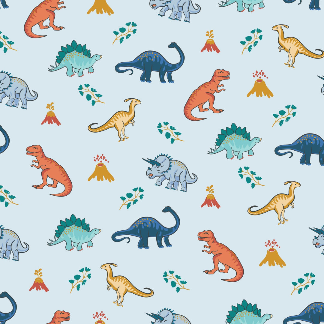 Rawr Your World Dinos & Volcanos Long Sleeve Pajama Set (6M - 12Y) - Free Birdees