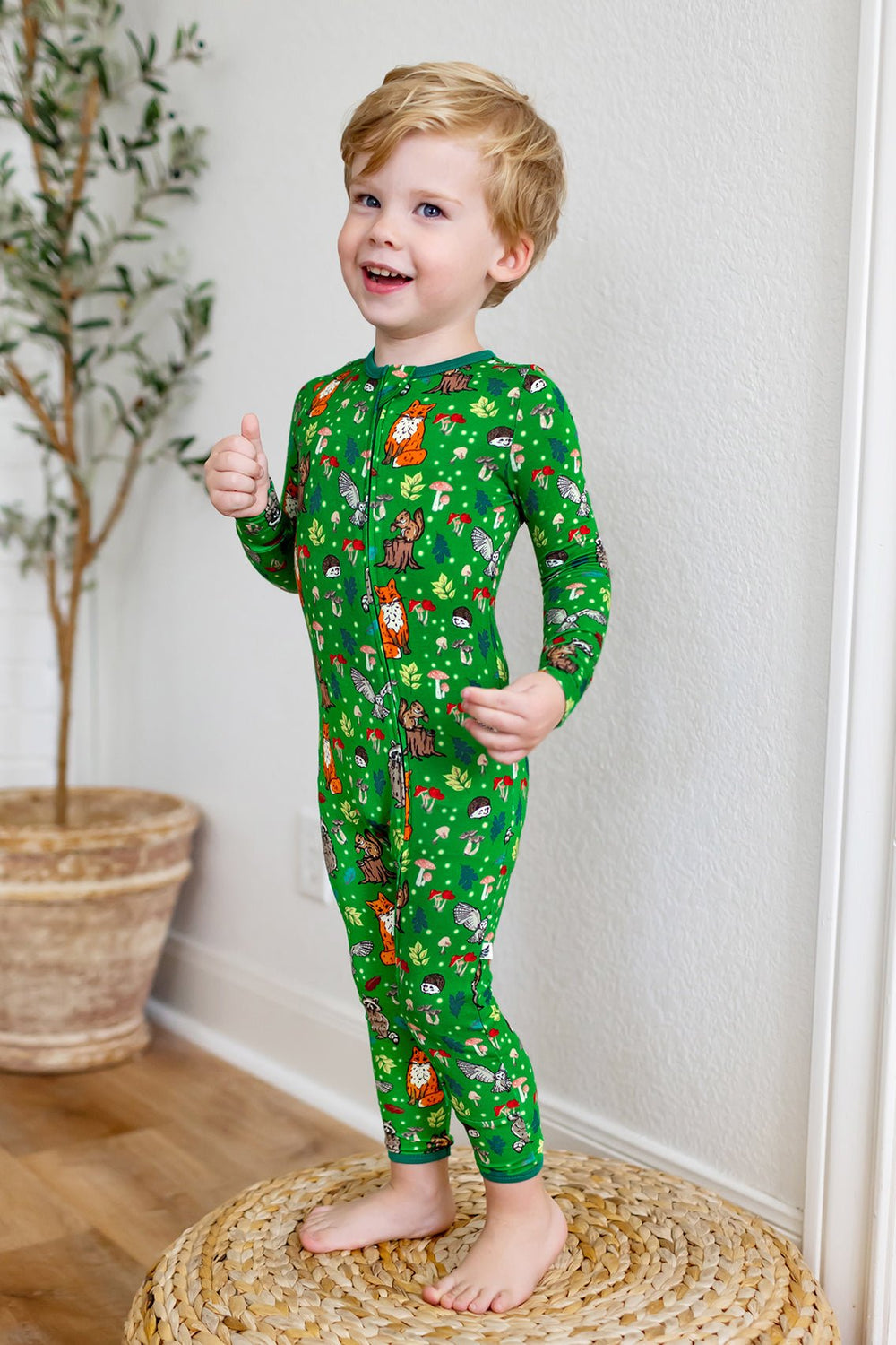 Enchanted Forest Woodland Animals Coverall (0-24m)