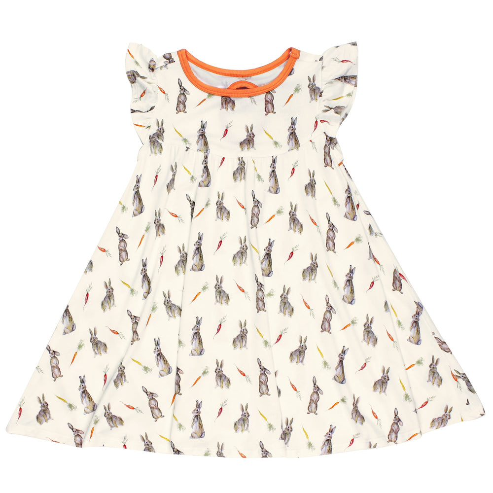 Hoppin’ Bunnies & Carrot Patch Twirling Dress (2T-6Y)