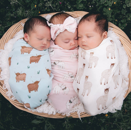 Lambs Swaddling Blanket Free Birdees